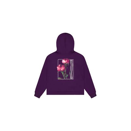 PICTURE LIFY HOODIE POTENT PURPLE